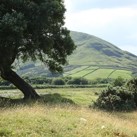 Gasthuis Roscaoin House Westport