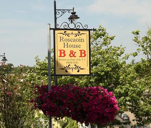 Pensionat Roscaoin House 4*