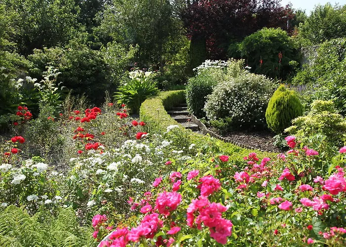 Pensionat Roscaoin House