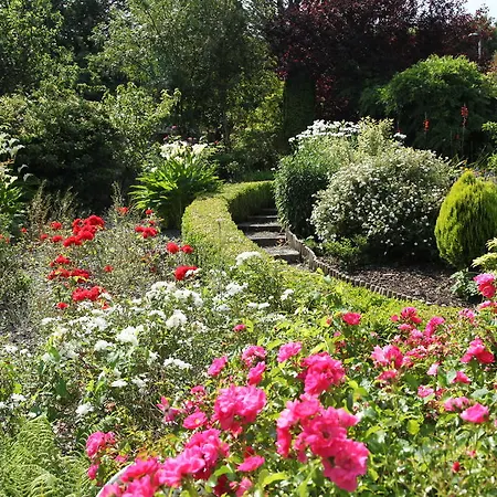 Vendégház Roscaoin House